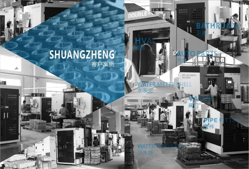 SHUANGZHENG · 06